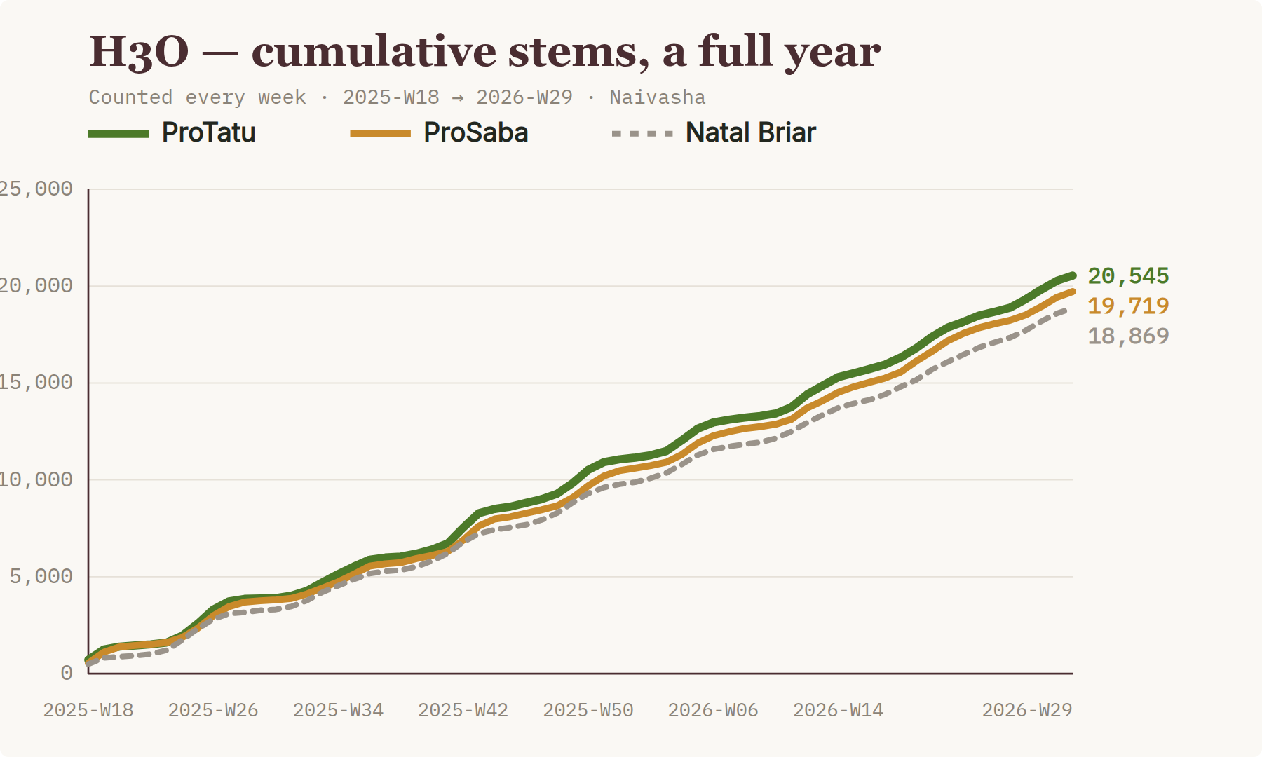 H3O cumulative stems: ProTatu vs ProSaba vs Natal Briar over a year