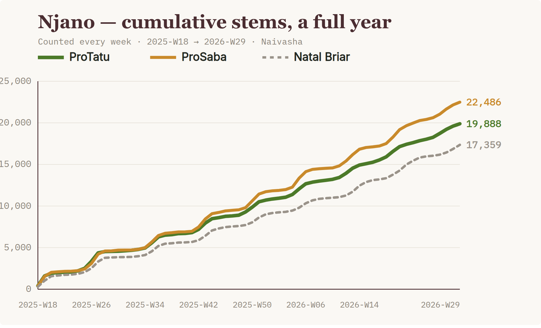 Njano cumulative stems: ProTatu vs ProSaba vs Natal Briar over a year