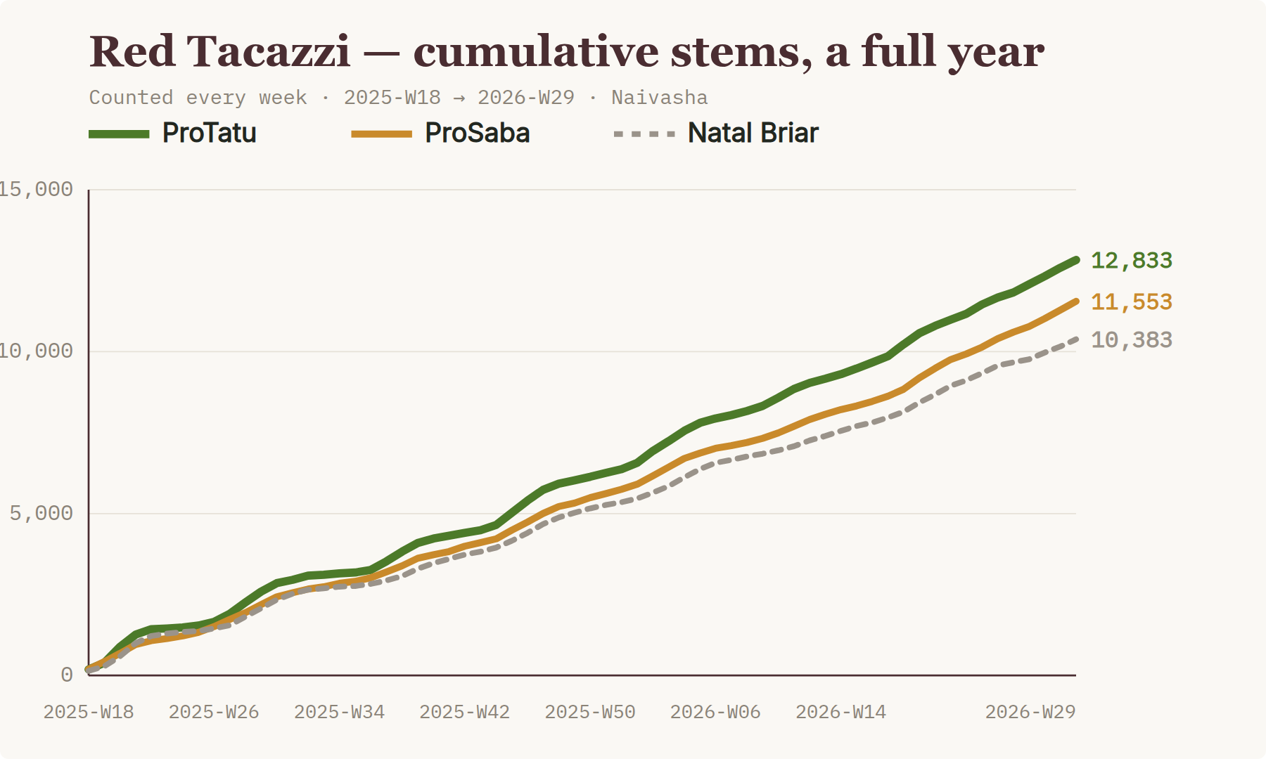 Red Tacazzi cumulative stems: ProTatu vs ProSaba vs Natal Briar over a year